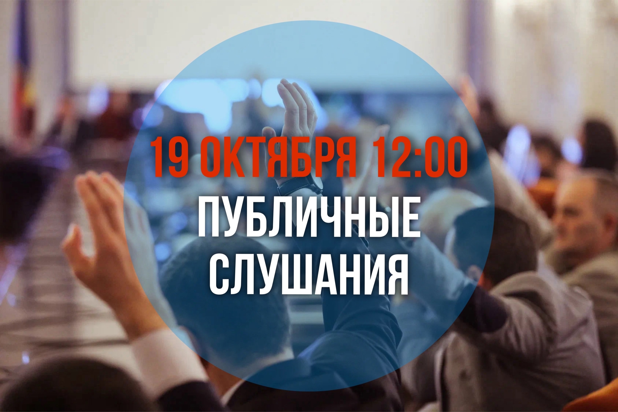 Публичные слушания по проекту Устава.